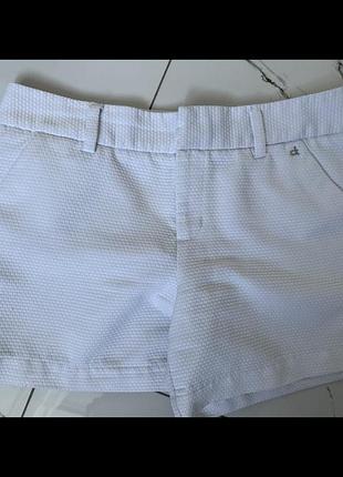 Шорти класичні calvin klein
