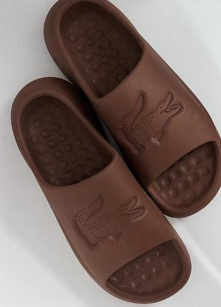 Шльопанці lacoste