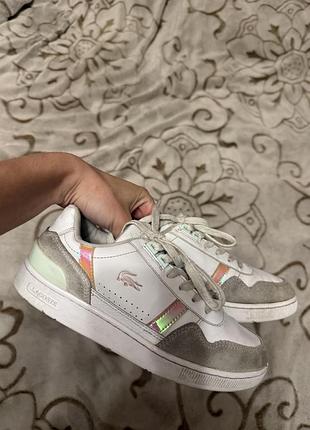 Кросівки lacoste