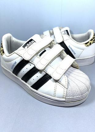 Кросівки adidas superstar