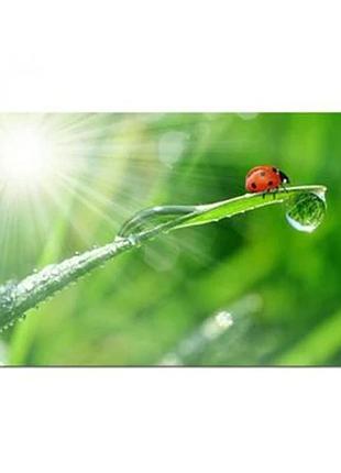 Килимок для миші esperanza mousepad mixed ea133 235x195х4мм
