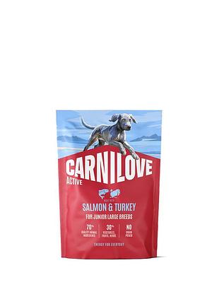 Корм сухой carnilove active salmon & turkey junior large breed д/молодых собак крупных пород лосось и индейка 1,5 кг