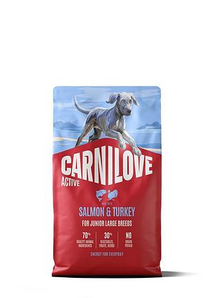 Корм сухой carnilove active salmon & turkey junior large breed д/молодых собак крупных пород лосось и индейка 4 кг