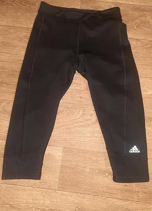 Бриджи adidas