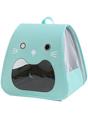 Рюкзак-переноска для животных кошек и собак taotaopets 247723 turquoise