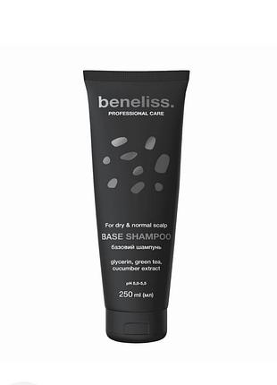 Базовий шампунь beneliss professional care for dry & normal scalp base shampoo 300 мл