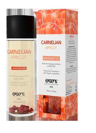 Массажное масло бодрящее exsens carnelian apricot, 100 мл