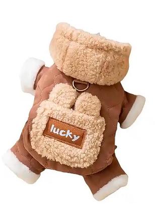 Комбинезон с капюшоном для собак lucky 2410sxmj0173 тедди с петлей для поводка brown xs