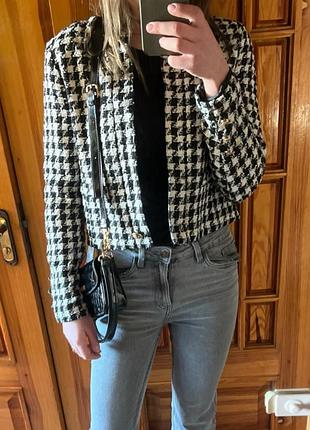 Піджак укорочений