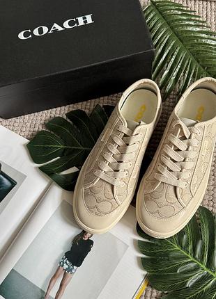 Стильні кеди coach