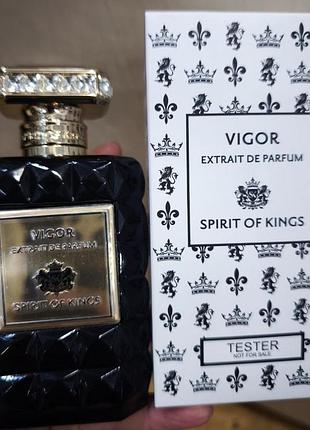 Статусный аромат для мужчин и женщин vigor spirit of kings 100 ml tester