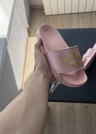 Тапки adidas