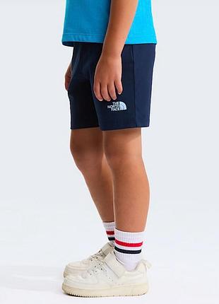 Шорти the north face