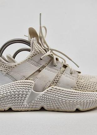 Кросівки чоловічі adidas prophere climacool