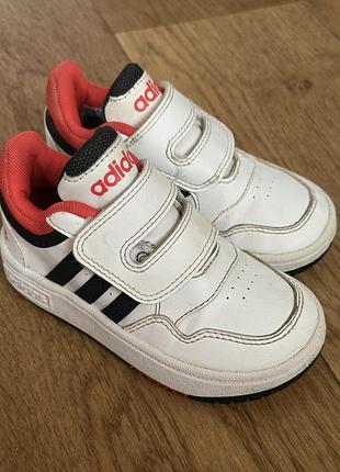 Adidas кросівки 24
