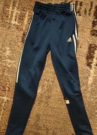 Штаны спортивные adidas