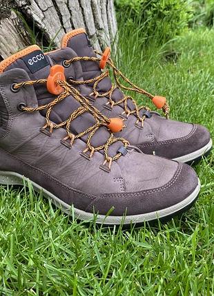 Черевики демісезонні ecco goretex оригінал р39/25.5 см
