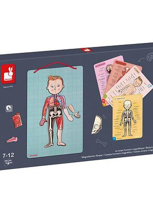 Игровой магнитный набор janod j05491 «тело человека» для детей 7+ лет