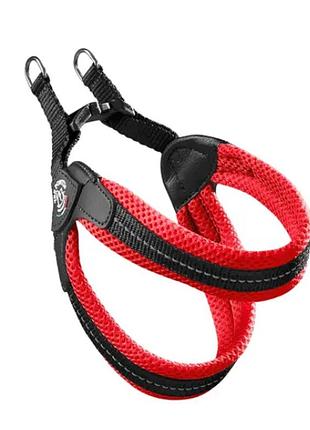 Анатомічна шлея для собак tre ponti розмір 4 (red)