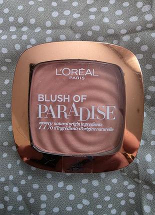 Румяни від loreal
