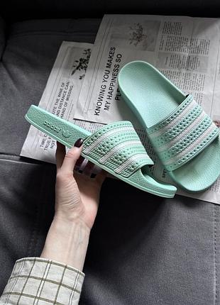 Шльопанці, шльопки adidas (оригінал)