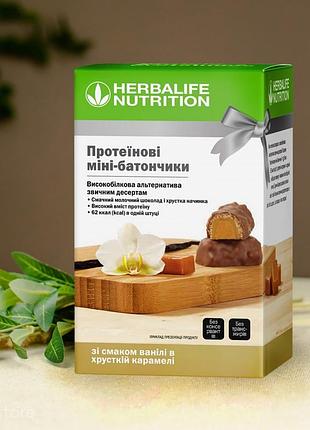 Протеїнові міні-батончики (ваніль)