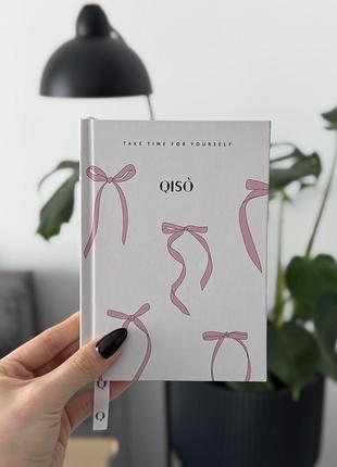 Планер qiso