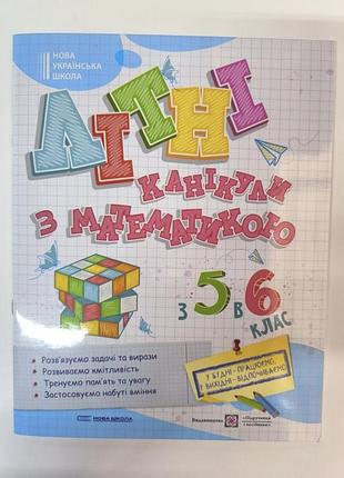 Летние каникулы с математикой из 5 в 6 класс.