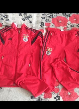 Красный спорт костюм черные лампасы клуба бенфика от adidas benfica подростка мастерка красные джоггеры на манжетах брюки подлетка костюм унисекс