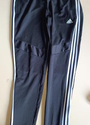 Спортивные штаны adidas