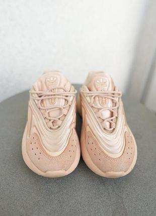 Кросівки жіночі adidas ozelia w