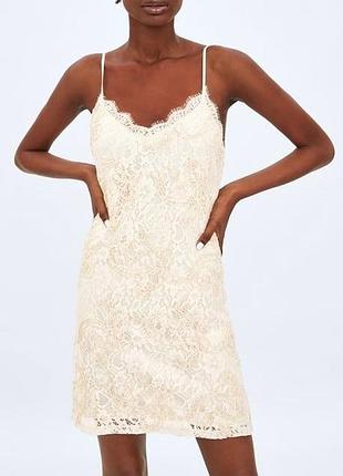 Роскошное кружевное платье zara р. m в белье, кружевное платье с вышивкой, комбинация мини