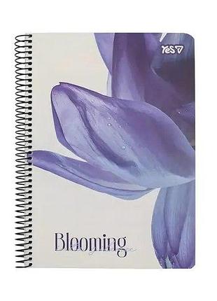 Блокнот а5 на пружині, 80 арк. в клітку "blooming", 152284 yes