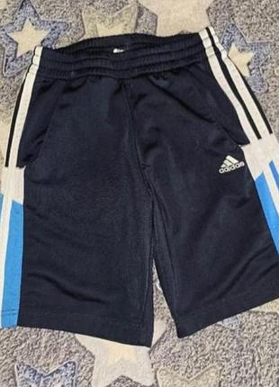 Adidas оригинал шорты 9-10 р