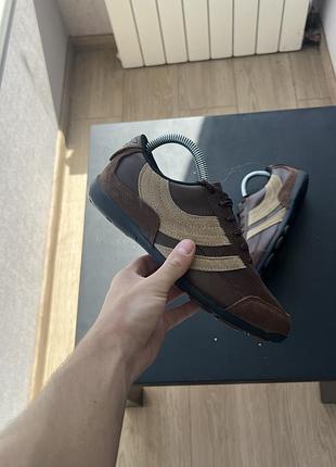 Кросівки wilson brown