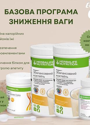 Базовая программа снижения веса гербалайф herbalife с коктейлями на выбор (+ в подарок ложка)
