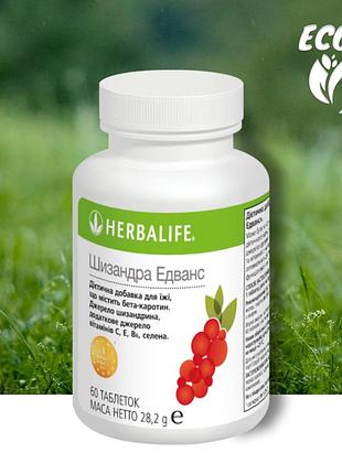Шизандра эдванс гербалайф herbalife