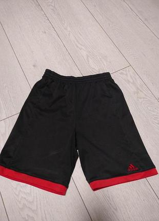 Шорты детские adidas