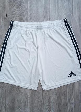 Спортивные шорты adidas
