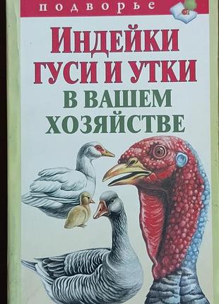 Индейки, гуси и утки в вашем хозяйстве. мороз