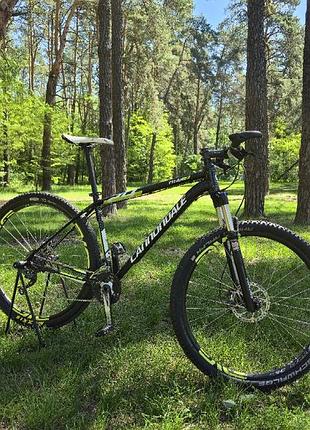 Cannondale trail 29 custom