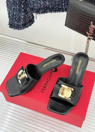 Мюли ferraga--