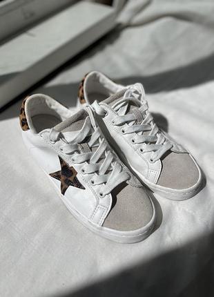 Жіночі кеди golden goose all leopard star