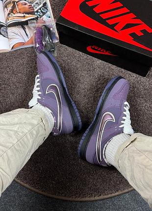 Стильные кроссовки nike sb dunk low purple lobster