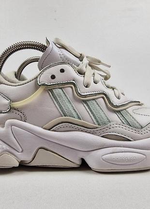 Жіночі кросівки adidas ozweego