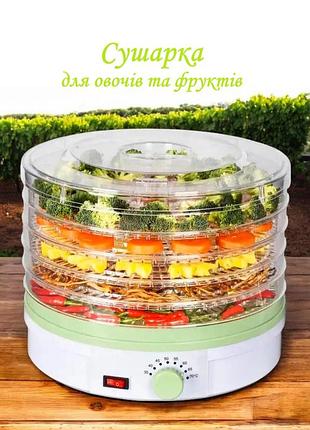 Электросушилка с терморегулятором для овощей и фруктов rainberg rb912 сушка дегидратор для продуктов 5 секций