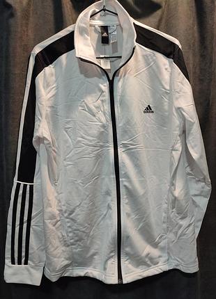Мужская спортивная кофта бренда adidas