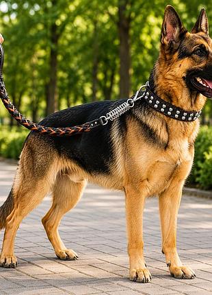 Поводок с амортизатором и широкий кожаный ошейник для средних и крупных собак, размер xl черный