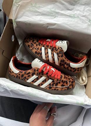 Кросівки adidas samba og preloved red leopard