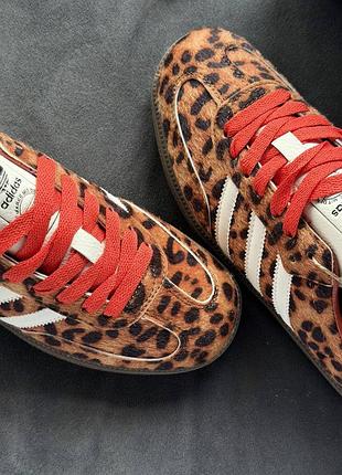 Кросівки adidas samba og preloved red leopard
